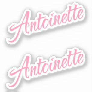 Antoinette Name x2 Vinyl Aufkleber