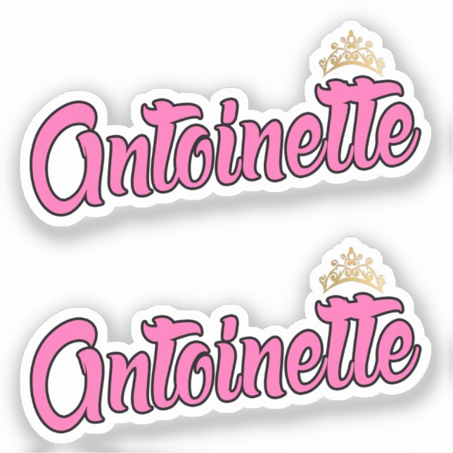 Antoinette Pink Name x2 Vinyl Aufkleber (Vorderseite)