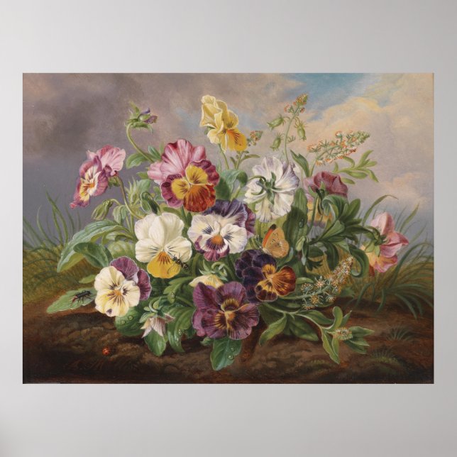 Anton Mollis Vintag Pansy Poster (Vorne)