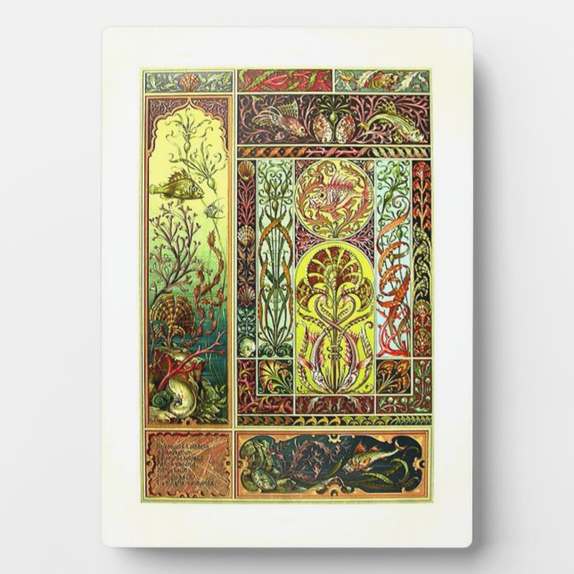 Anton Seder-Meereswelt-Tafel mit Aasel Fotoplatte (Vorderseite)