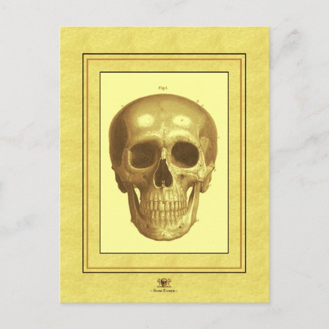 Antque Skull Postkarte (Vorderseite)