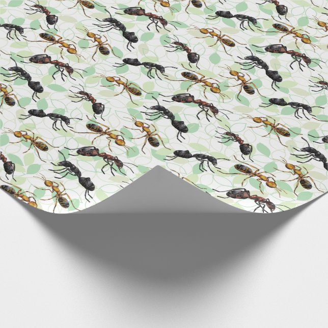 Ants Insects Bugs Wrapping Paper Geschenkpapier (Ecke)