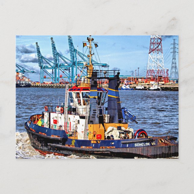 Antwerpen, Belgien, landschaftliches Foto Postkarte (Vorderseite)