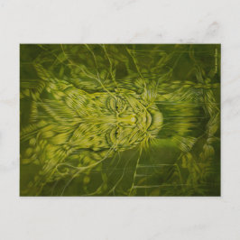 Anu/ Elemental Green Postkarte