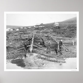 Anvil Creek Gold Mine Alaska 1916 Poster