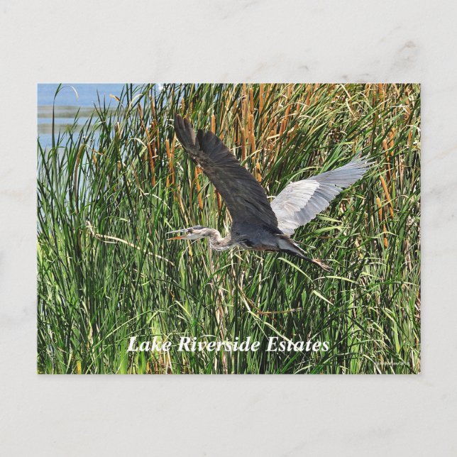 Anwesen des Lago Riverside Postkarte (Vorderseite)
