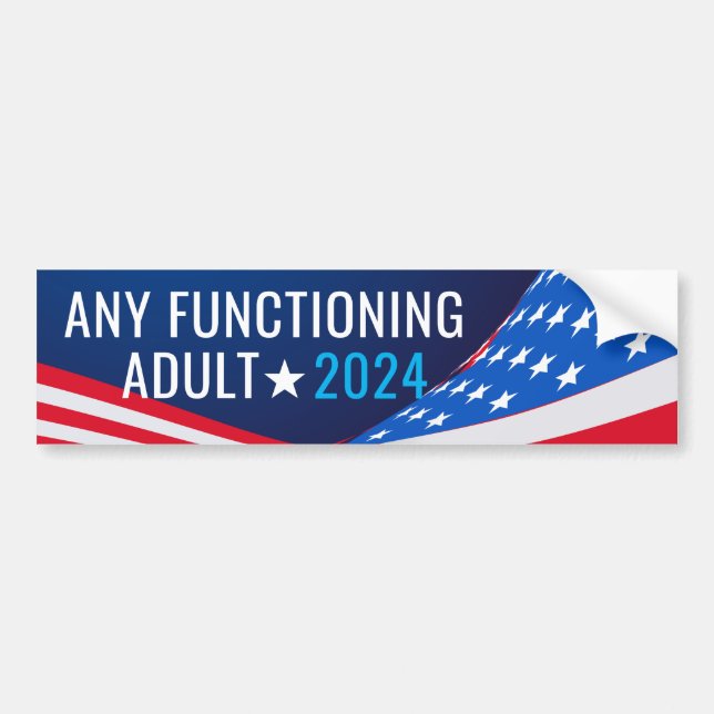 Any Functioning Adult 2024 Autoaufkleber (Vorne)