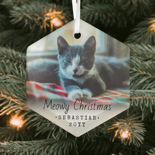 Any Text MeowChristmas Cat Simple Hexagon Foto Ornament Aus Glas