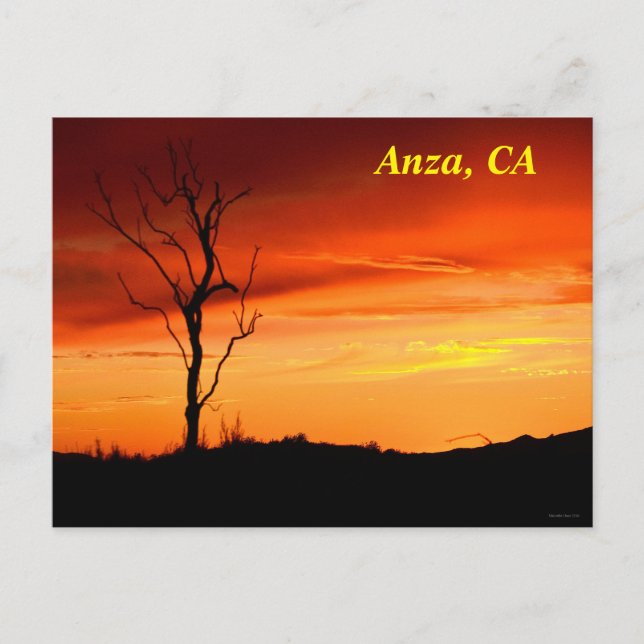 Anza, kalifornische Postkarte (Vorderseite)
