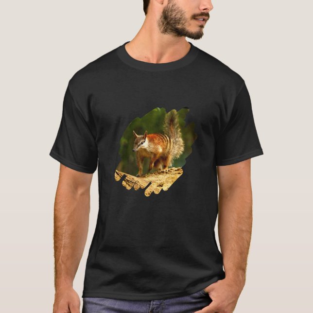 Anzahl Anteater Premium T-Shirt (Vorderseite)