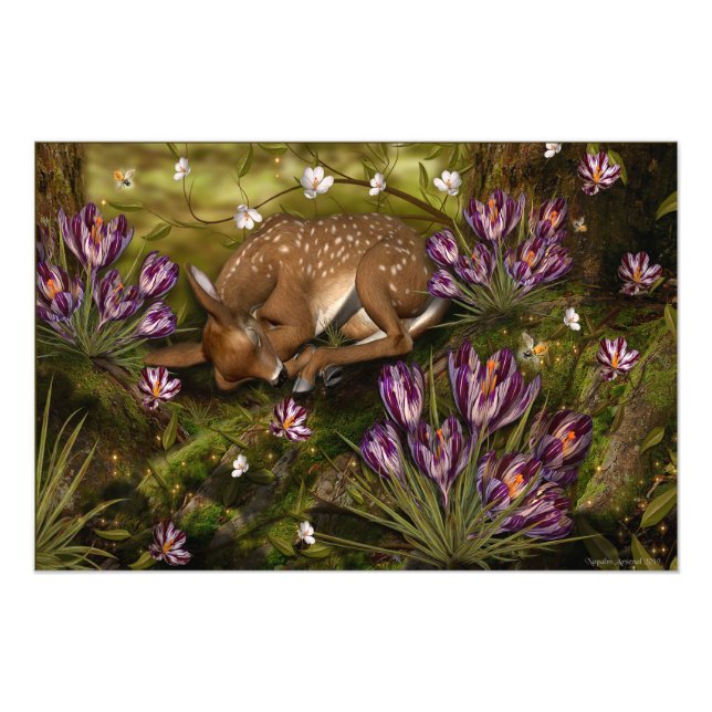 Anzeichen des Frühlings Fotodruck (Vorne)