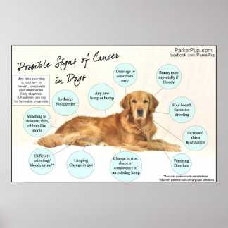 Anzeichen eines Krebspposters Poster