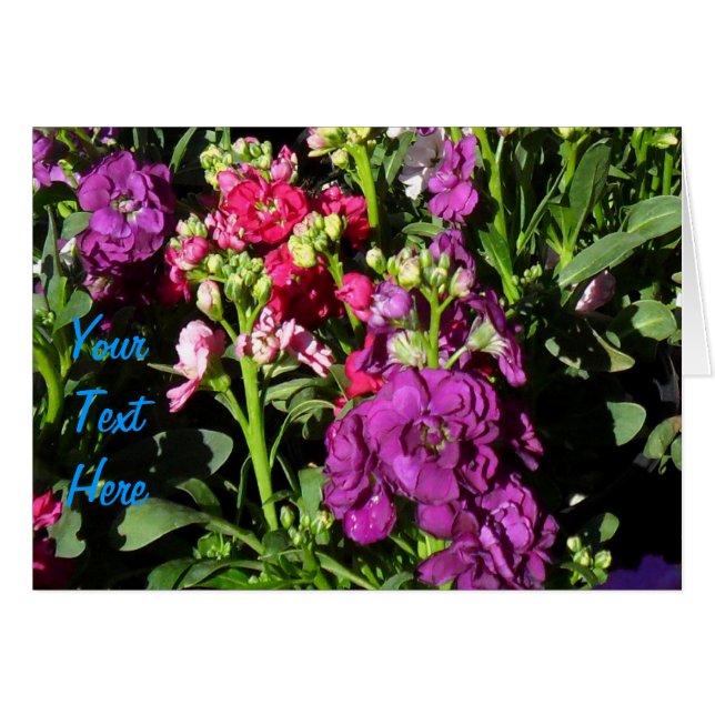 Anzeige der Blume Zuhause Depot (Vorderseite (Horizontal))