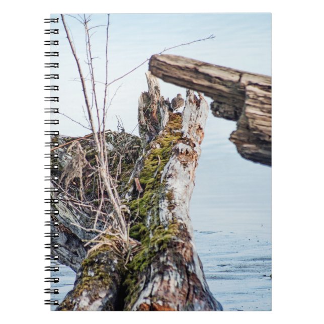 Anzeige Notizblock (Vorderseite)