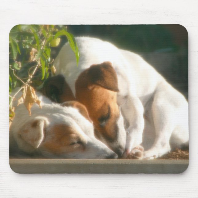 Anziehender zzzzs mousepad (Vorne)