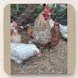 Anziehungskraft auf Hauskopfhühner Getränkeuntersetzer