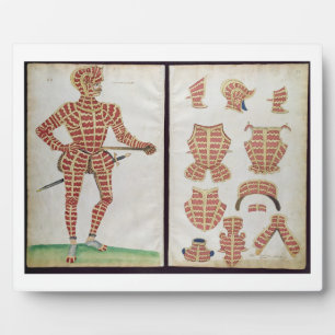 Anzug der Rüstung für den Herzog von Worcester, 15 Fotoplatte