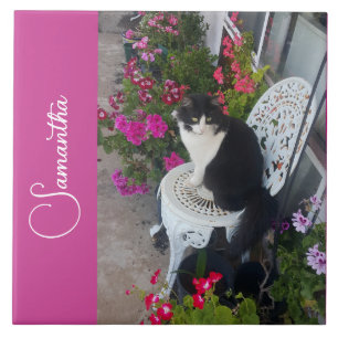 Anzugkatze Katzen und Blumen Mädchen Name Dunkelro Fliese