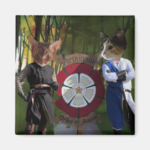 AOA-Verbindung Magnet