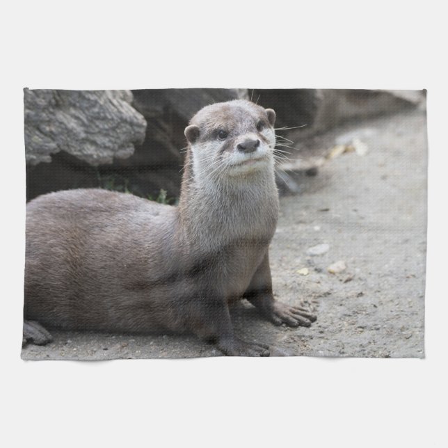 Aonyx cinerea geschirrtuch (Horizontal)