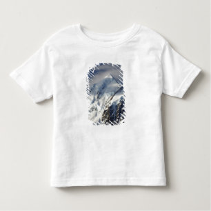 Aoraki Mount Cook, Mackenzie Country, Süden Kleinkind T-shirt