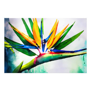 *~* AP10 Bird of Paradise Art Malerei #23 Fotodruck
