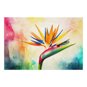 *~* AP10 Paradiesvogel Kunstmalerei #21 Fotodruck