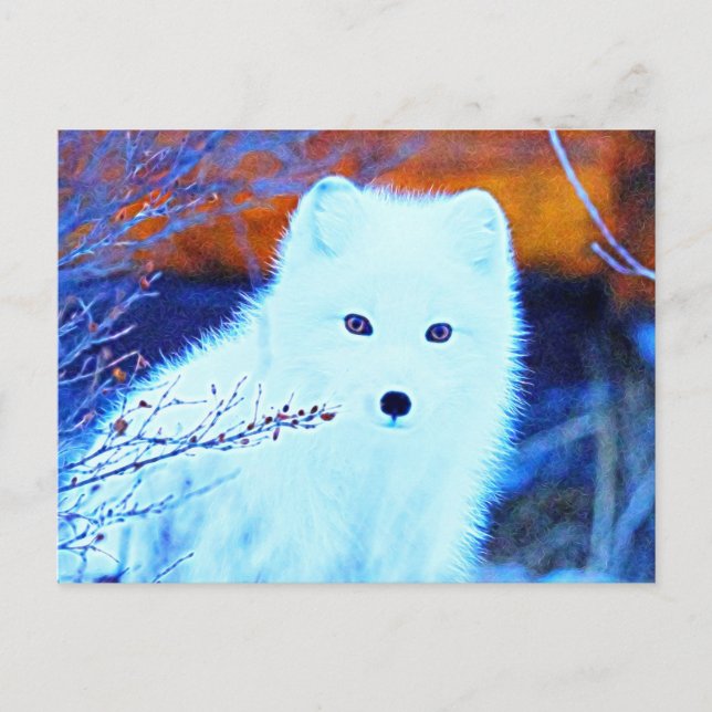 *~* AP18 Twig Snow Fox White Fox Arctic Polar Postkarte (Vorderseite)