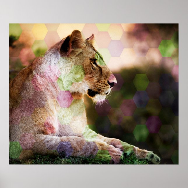*~* AP23 Artistic RAINBOW Abstrakte LIONESS Art Poster (Vorne)