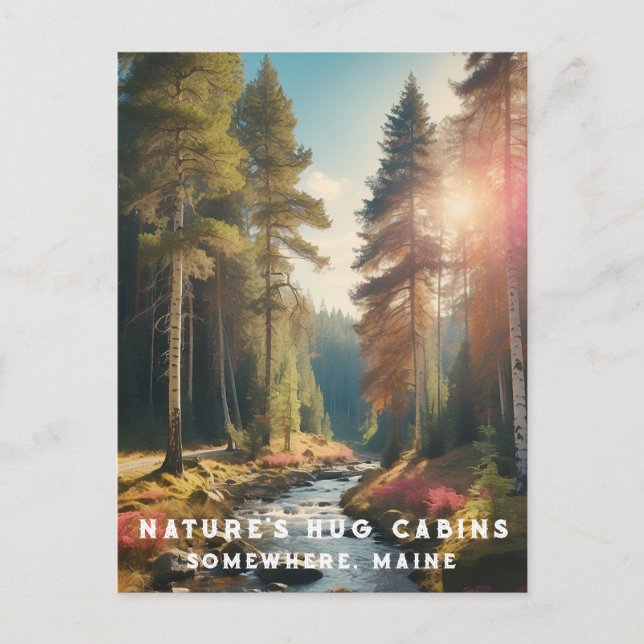 *~* AP49 Maine Forest Woods Stream Vacation Nature Postkarte (Vorderseite)