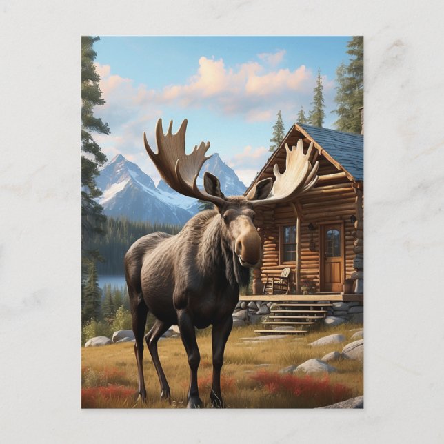 *~* AP49 MOOSE Stream Nature Cabin Forest Postkarte (Vorderseite)