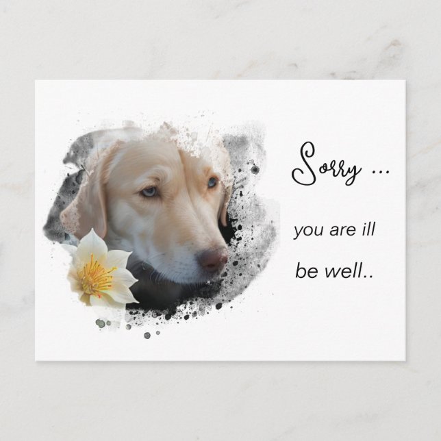 *~ AP61 Blume Sick Get Well Gold Dog Postkarte (Vorderseite)