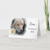 *~* AP61 Sad Labrador Retriever Blume Message