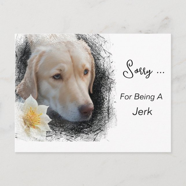*~* AP61 Sad Labrador Retriever Blume Message Postkarte (Vorderseite)