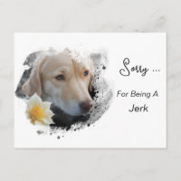 *~* AP61 Sad Labrador Retriever Blume Sorry Jerk