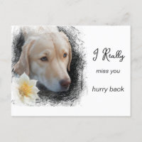 *~ AP61 Traurige Kurze Haar Hund Blume Miss You