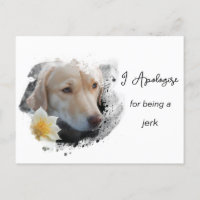 *~* AP61 Trauriger brauner Hund entschuldigt sich
