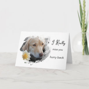 *~ AP61 Trauriger Labrador Retriever Blumen Vermis Karte