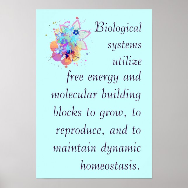 AP Biology Big Idea 2 Poster (Vorne)