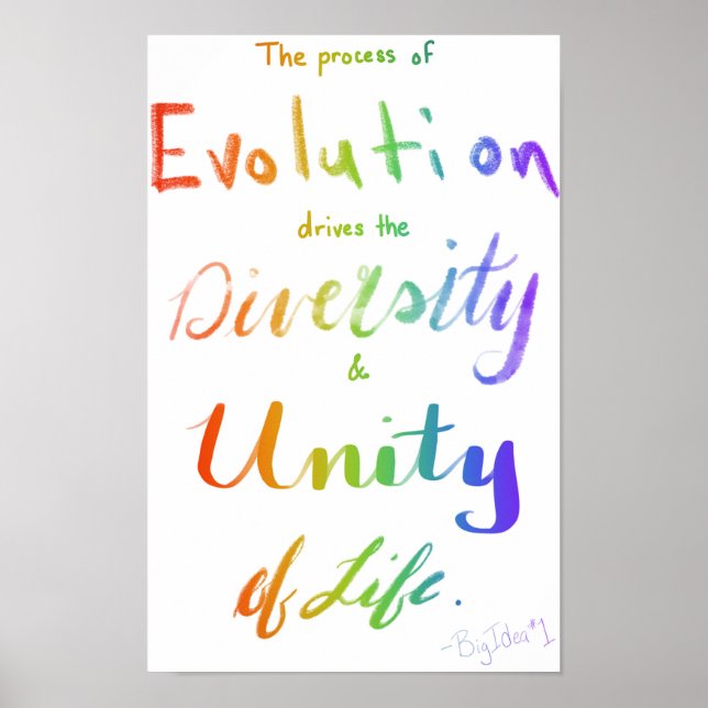 AP Biology Big Idea One Poster (Vorne)