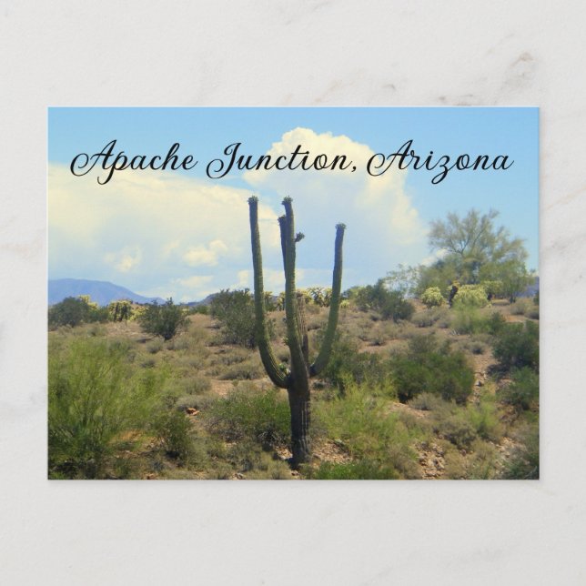Apache Junction, Arizona Postkarte (Vorderseite)