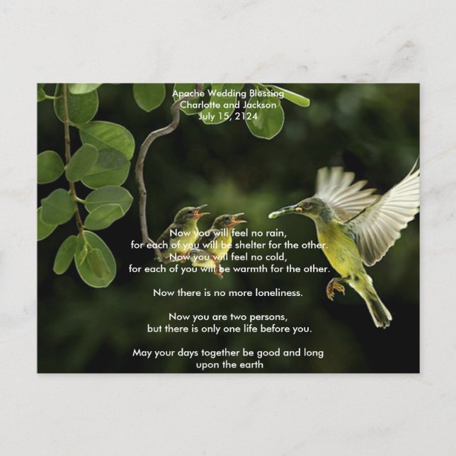 Apache Wedding Segen Mutter Hummingbird Postkarte (Vorderseite)