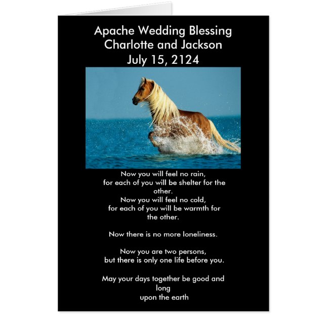 Apache Wedding Seging Arabian Vollblut Pferd (Vorne)