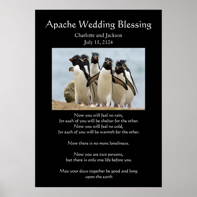 Apache Wedding Sessing Pinguine Poster (Vorne)