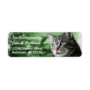 APAL - Silver Tabby Cat mit saisonaler Green