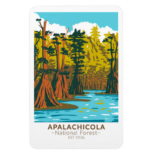 Apalachicola National Forest Sumpfzypresse Magnet