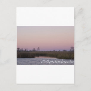 Apalachicola-Sonnenuntergang Postkarte