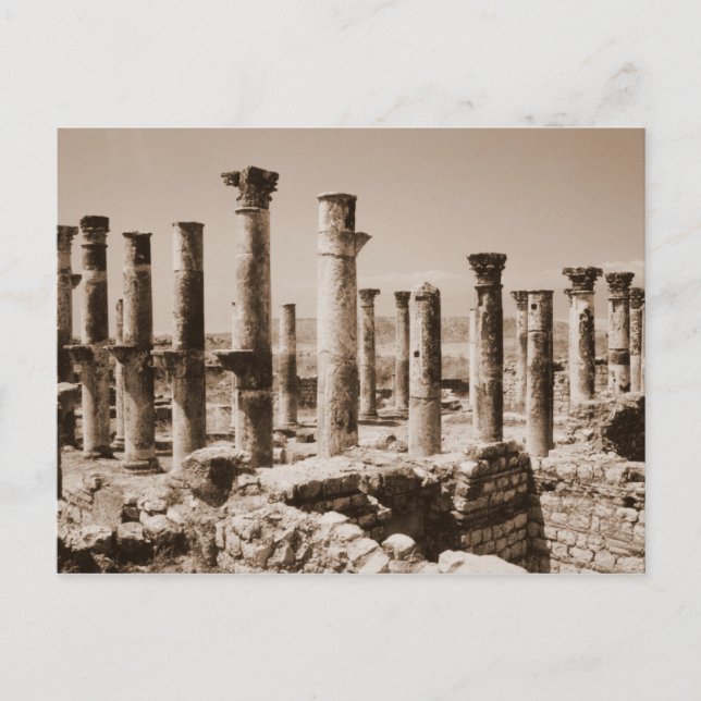 Apamea Postkarte (Vorderseite)