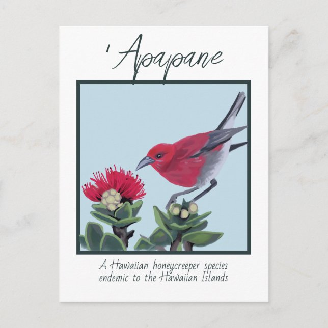 Apapane & Lehua Blossom Hawaii Nature Illustration Postkarte (Vorderseite)