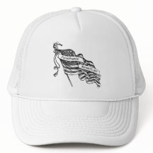 Apathischer Amerikaner